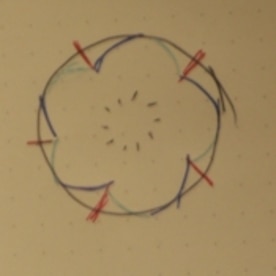 抜き型なしでお花型にんじん レシピ 作り方 By Nyatz 楽天レシピ 抜き型なしでお花型にんじん レシピ 作り方 By Nyatz 楽天レシピ
